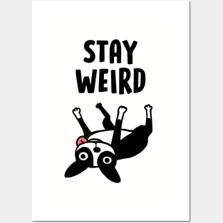 Stay Weird - Funny Boston Terrier Cartoon Dog Posters and Art